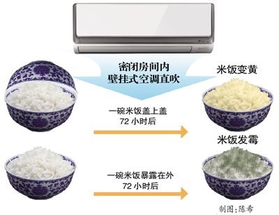 警惕空調(diào)污染:72小時吹霉一碗飯