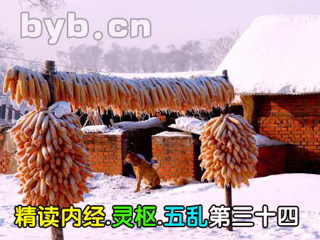 byb.cn