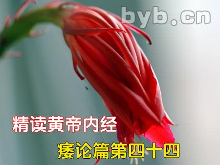 byb.cn